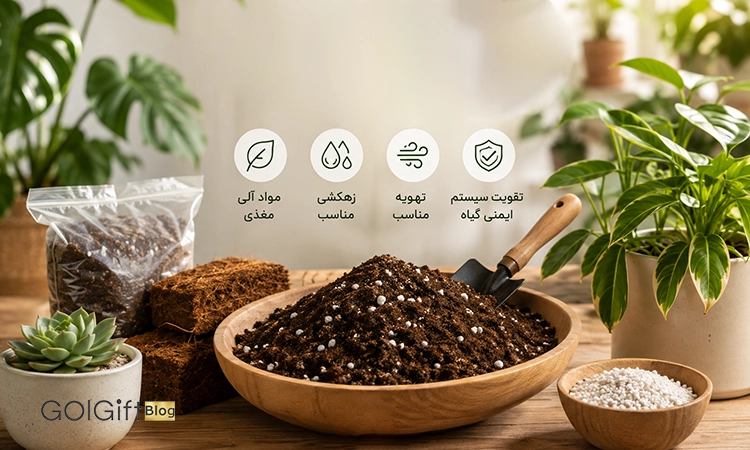 گل گیفت | بهترین خاک برای جلوگیری از بیماری های گیاهان