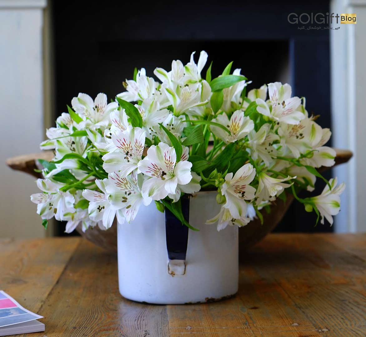 گل گیفت | تهیه گلدان با گل های سفید