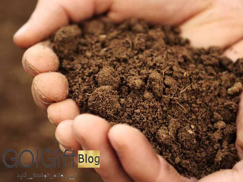 گل گیفت | علت کلوخه شدن خاک