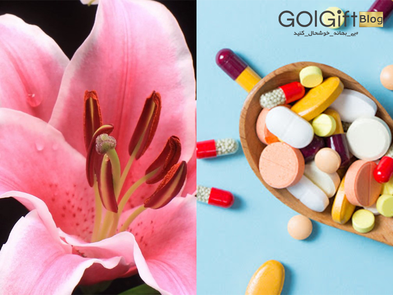 گل گیفت | مصارف دارویی گل لیلیوم