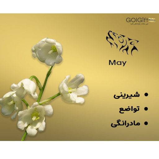 باکس گل موگه width=512 height=512 border=0