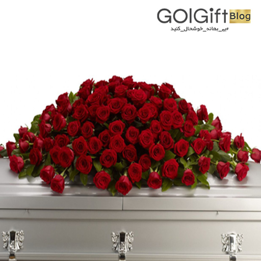 گل رز نشان دهنده عشق و احترام width=512 height=512 border=0