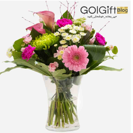 محصولات گل گیفت برای استرالیا width=512 height=512 border=0