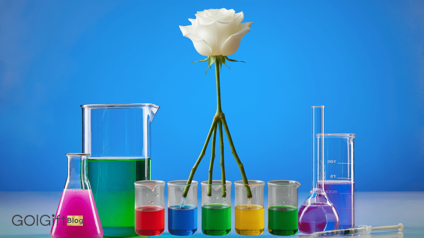 ترکیب رنگ ها برای ساخت رز رنگین کمان زیبا width=512 height=512 border=0