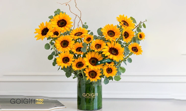 باکس گل آفتابگردان width=512 height=512 border=0
