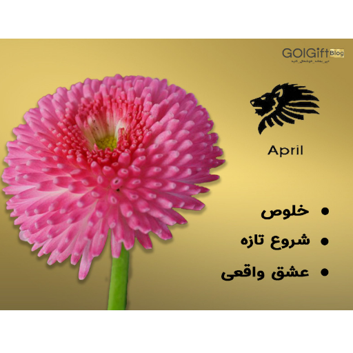 باکس گل مینای چمنی width=512 height=512 border=0