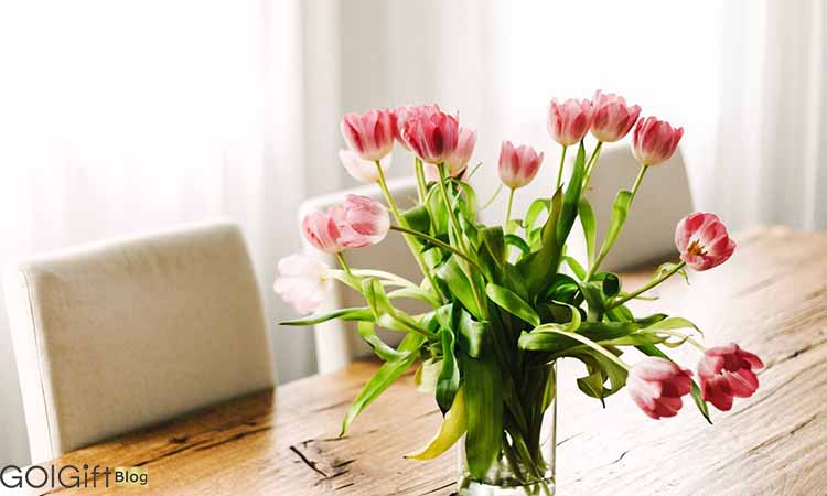 چرا گل‌ های شاخه بریده زود پژمرده می‌شوند؟ width=512 height=512 border=0