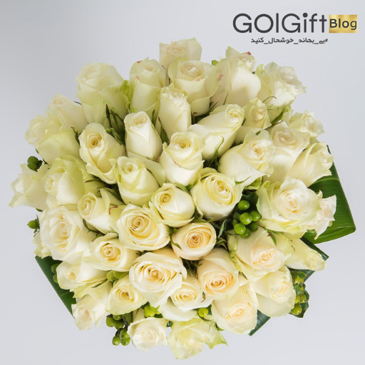 خرید دسته گل رز سفید width=512 height=512 border=0
