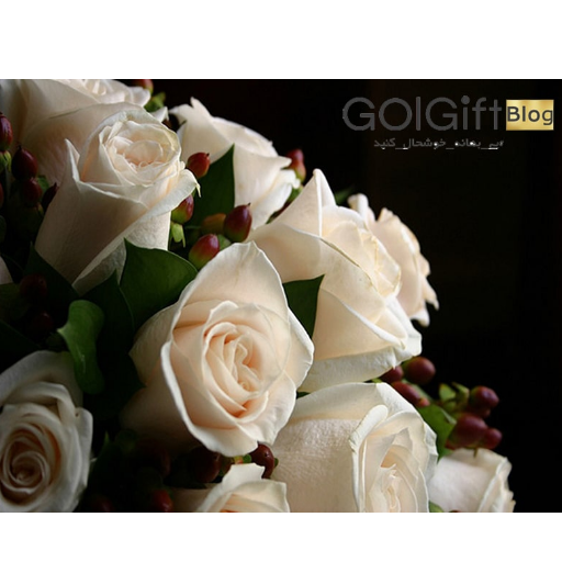 دسته گل رز سفید width=512 height=512 border=0