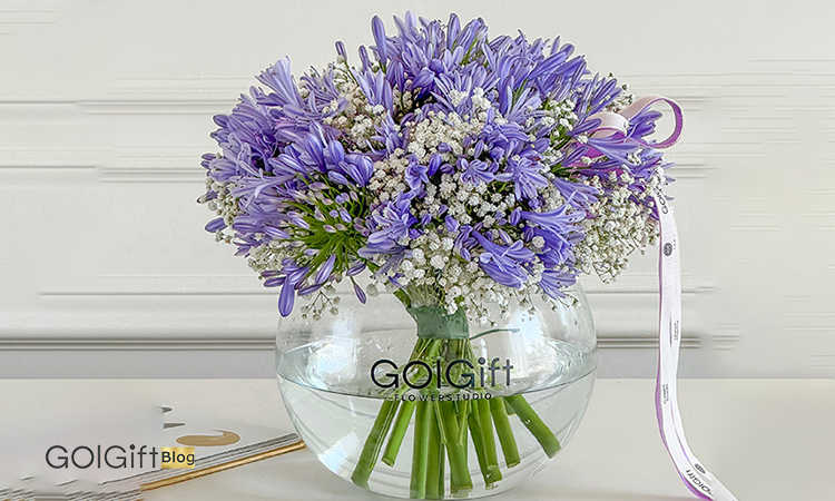 خرید گل1 width=512 height=512 border=0