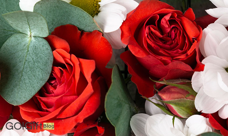 چرا گل ها بهترین انتخاب برای هدیه تولد هستند width=512 height=512 border=0