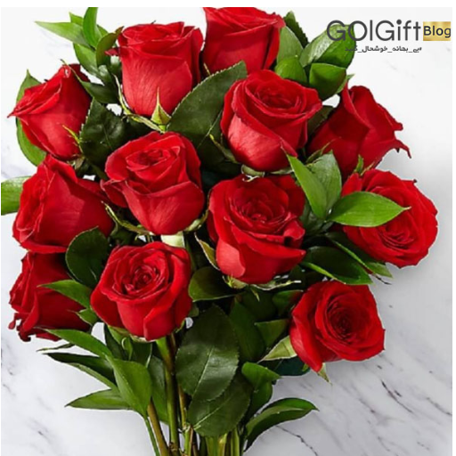 گل رز قرمز width=512 height=512 border=0
