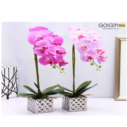 خرید اینترنتی گل ارکیده width=512 height=512 border=0
