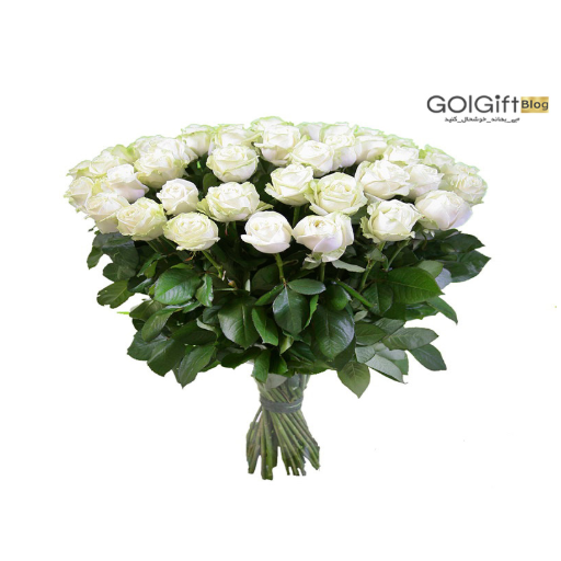 سفارش اینترنتی گل رز سفید  width=512 height=512 border=0