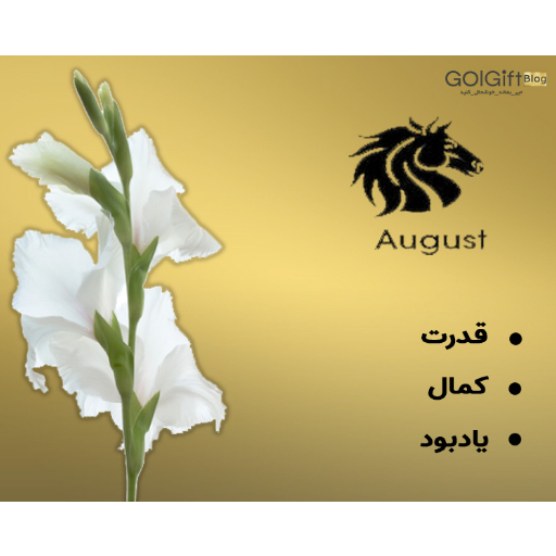 گلایول گلی خاص width=512 height=512 border=0