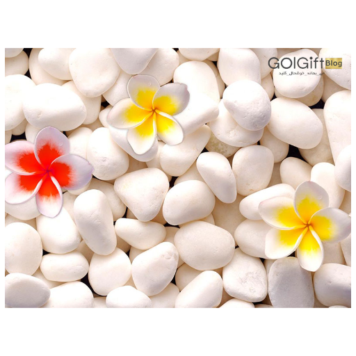 گل پنج پر width=512 height=512 border=0