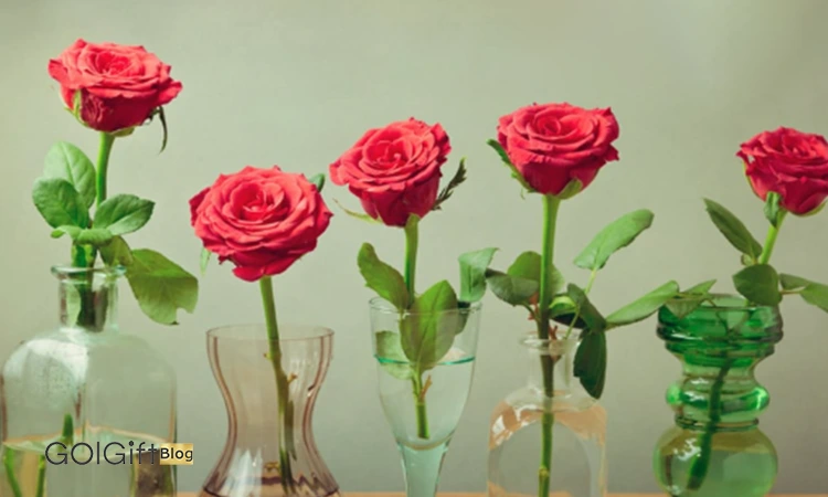 عمر گل رز2 width=512 height=512 border=0