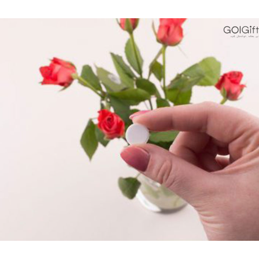 فواید قرص آهن برای گیاهان width=512 height=512 border=0
