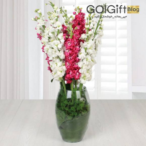 سفارش اینترنتی گل شب بو width=512 height=512 border=0