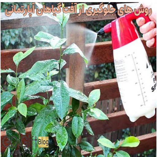 روش های جلوگیری از آفت گیاهان آپارتمانی width=512 height=512 border=0