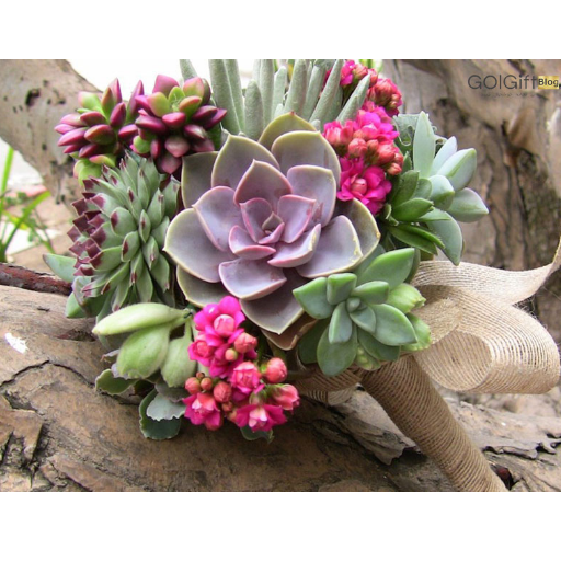 تزیین دسته گل عروس با کاکتوس width=512 height=512 border=0