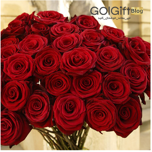 ارسال گل به سراسر ایران  width=512 height=512 border=0