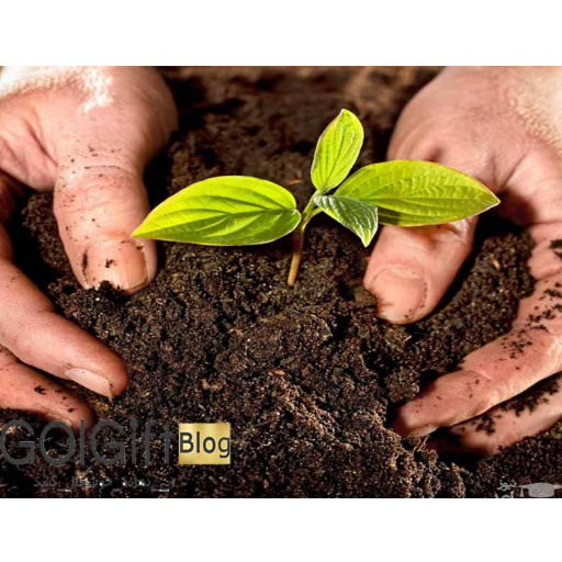 بکار گیری مواد آلی در خاک width=512 height=512 border=0