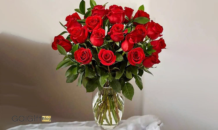 عمر گل رز width=512 height=512 border=0