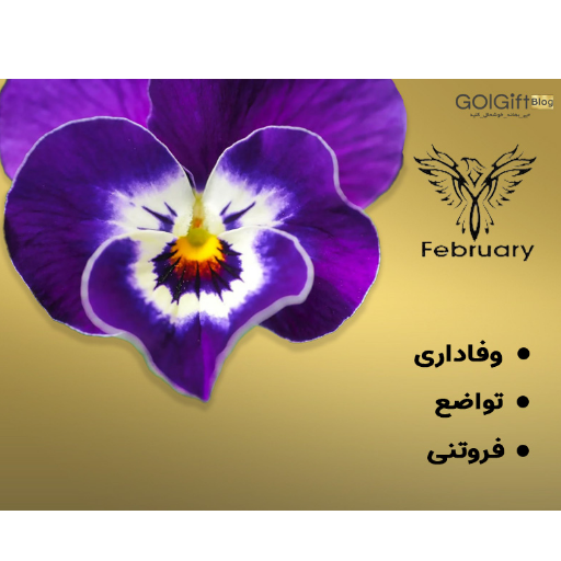 خرید باکس گل بنفشه width=512 height=512 border=0