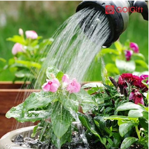آبیاری مناسب برای رشد سریع تر گیاهان width=512 height=512 border=0