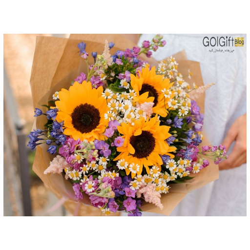گل های نشاط بخش width=512 height=512 border=0
