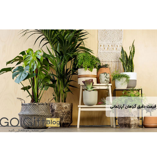 اطلاع از قیمت  width=512 height=512 border=0