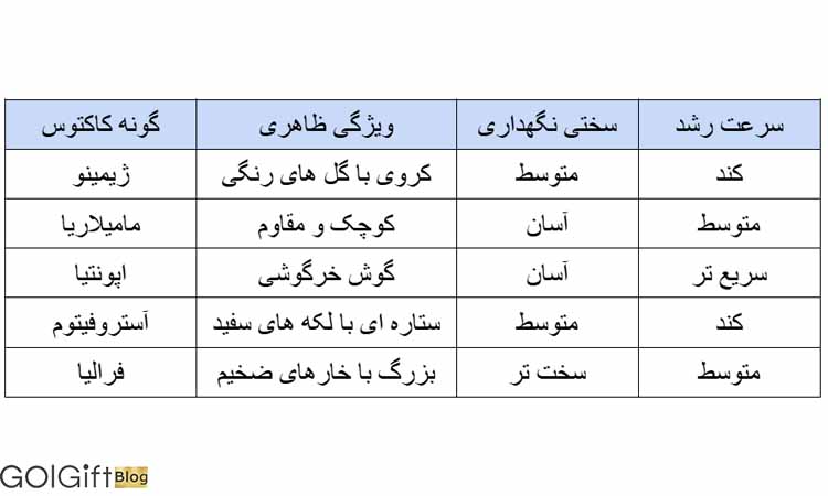 جدول مقایسه چند گونه محبوب کاکتوس برای کاشت از بذر width=512 height=512 border=0