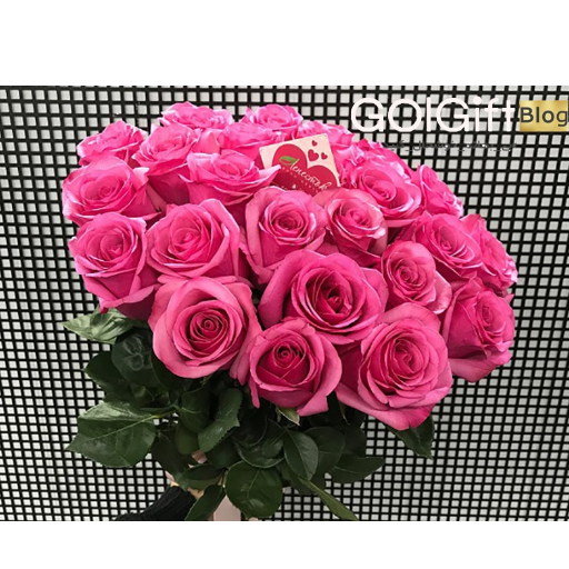 روستیک نماد سادگی و زیبایی width=512 height=512 border=0