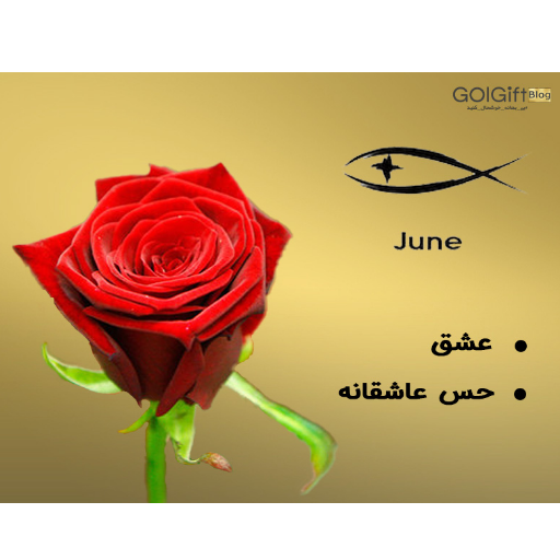خرید باکس گل رز width=512 height=512 border=0