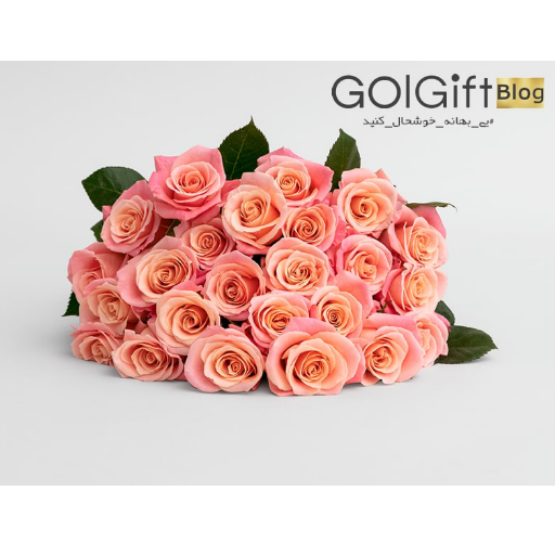 معرفی بهترین گل  width=512 height=512 border=0