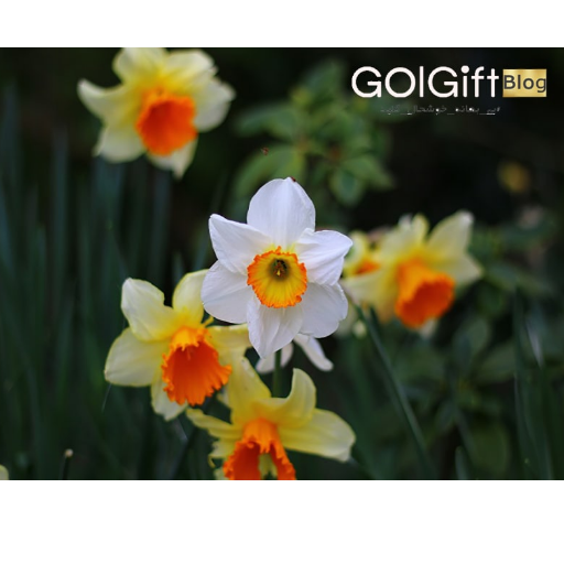 نماد های مذهبی width=512 height=512 border=0
